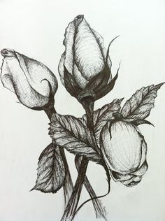 Obrzek - Detail květu